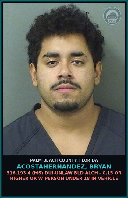 CCW arrest card for ACOSTAHERNANDEZ, BRYAN in Palm Beach County: 893.13 6A (FT) DRUGS-POSSESS - POSSESS contr substance W/O PRESCRIPTION