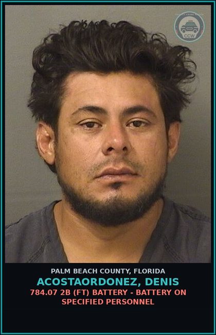 CCW arrest card for ACOSTAORDONEZ, DENIS in Palm Beach County: 316.193 1A (MS) DUI-UNLAW BLD ALCH - DUI INFLUENCE OF ALCOHOL OR DRUGS