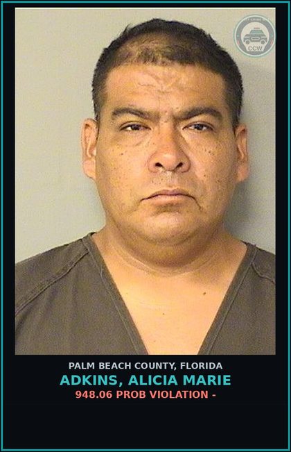 CCW arrest card for ADKINS, ALICIA MARIE in Palm Beach County: 948.06 PROB VIOLATION -