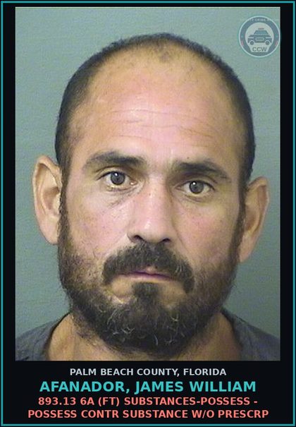 CCW arrest card for AFANADOR, JAMES WILLIAM in Palm Beach County: 893.13 6A (FT) DRUGS-POSSESS - POSSESS contr substance W/O PRESCRIPTION