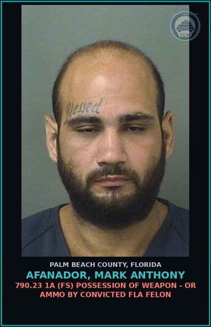 CCW arrest card for AFANADOR, MARK ANTHONY in Palm Beach County: 790.23 1A (FS) POSSESSION OF WEAPON - OR AMMO BY CONVICTED FLA FELON