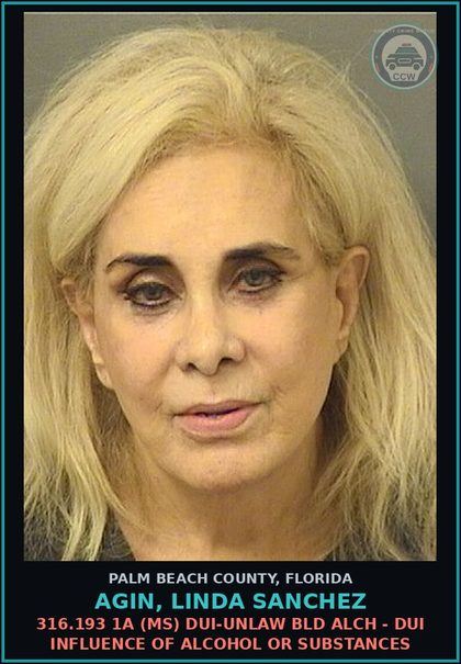 CCW arrest card for AGIN, LINDA SANCHEZ in Palm Beach County: 316.193 1A (MS) DUI-UNLAW BLD ALCH - DUI INFLUENCE OF ALCOHOL OR DRUGS