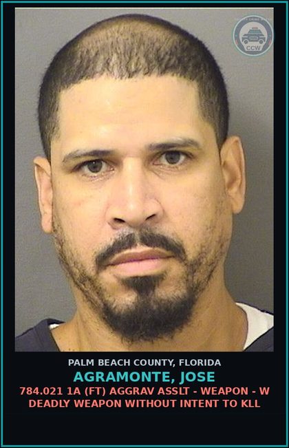CCW arrest card for AGRAMONTE, JOSE in Palm Beach County: 784.021 1A (FT) AGGRAV ASSLT - WEAPON - W DEADLY WEAPON WITHOUT INTENT TO KILL