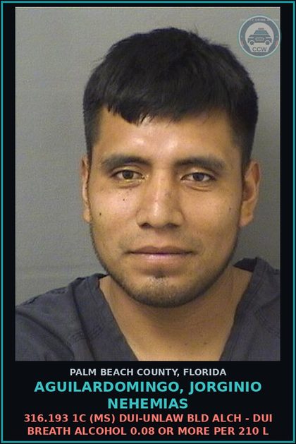 CCW arrest card for AGUILARDOMINGO, JORGINIO NEHEMIAS in Palm Beach County: 316.193 1C (MS) DUI-UNLAW BLD ALCH - DUI BREATH ALCOHOL 0.08 OR MORE PER 210 L
