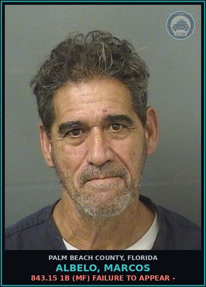 CCW arrest card for ALBELO, MARCOS in Palm Beach County: 843.15 1B (MF) FAILURE TO APPEAR -