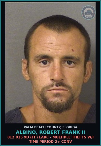 CCW arrest card for ALBINO, ROBERT FRANK II in Palm Beach County: 812.015 9D (FF) LARC - MULTIPLE THEFTS W/I TIME PERIOD 2+ CONV