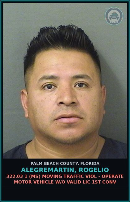 CCW arrest card for ALEGREMARTIN, ROGELIO in Palm Beach County: 322.03 1 (MS) MOVING TRAFFIC VIOL - OPERATE MOTOR VEHICLE W/O VALID LIC 1ST CONV