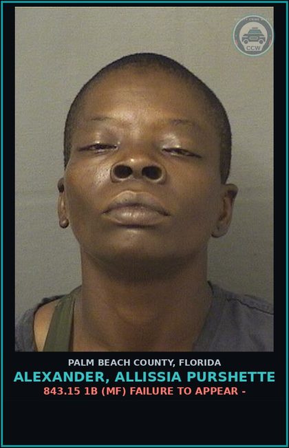 CCW arrest card for ALEXANDER, ALLISSIA PURSHETTE in Palm Beach County: 843.15 1B (MF) FAILURE TO APPEAR -