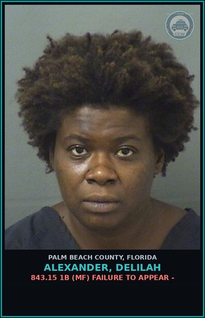 CCW arrest card for ALEXANDER, DELILAH in Palm Beach County: 843.15 1B (MF) FAILURE TO APPEAR -