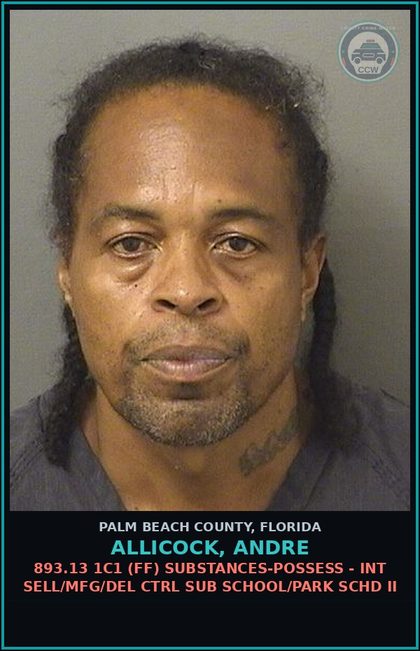 CCW arrest card for ALLICOCK, ANDRE in Palm Beach County: 893.13 1C1 (FF) DRUGS-POSSESS - INT SELL/MFG/DEL CTRL SUB SCHOOL/PARK SCHD II
