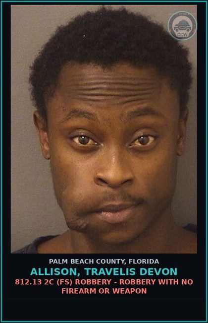 CCW arrest card for ALLISON, TRAVELIS DEVON in Palm Beach County: 914.22 1E (FF) OBSTRUCTING JUSTICE - HINDER WITN COMM INFO TO LEO/JUDG FEL 1ST PROC