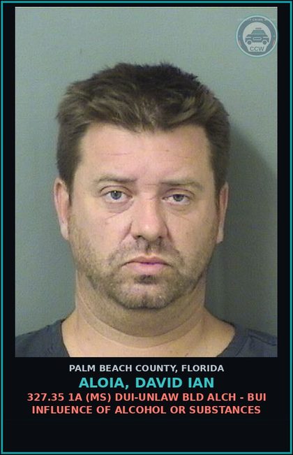 CCW arrest card for ALOIA, DAVID IAN in Palm Beach County: 327.35 1A (MS) DUI-UNLAW BLD ALCH - BUI INFLUENCE OF ALCOHOL OR DRUGS