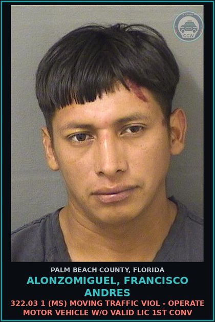 CCW arrest card for ALONZOMIGUEL, FRANCISCO ANDRES in Palm Beach County: 322.03 1 (MS) MOVING TRAFFIC VIOL - OPERATE MOTOR VEHICLE W/O VALID LIC 1ST CONV