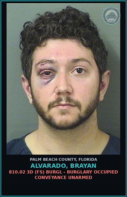 CCW arrest card for ALVARADO, BRAYAN in Palm Beach County: 784.03 1A1 (MF) BATTERY - TOUCH OR STRIKE