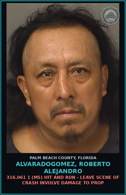 CCW arrest card for ALVARADOGOMEZ, ROBERTO ALEJANDRO in Palm Beach County: 316.061 1 (MS) HIT AND RUN - LEAVE SCENE OF CRASH INVOLVE DAMAGE TO PROP
