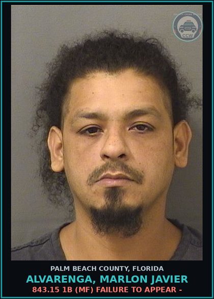 CCW arrest card for ALVARENGA, MARLON JAVIER in Palm Beach County: 843.15 1B (MF) FAILURE TO APPEAR -