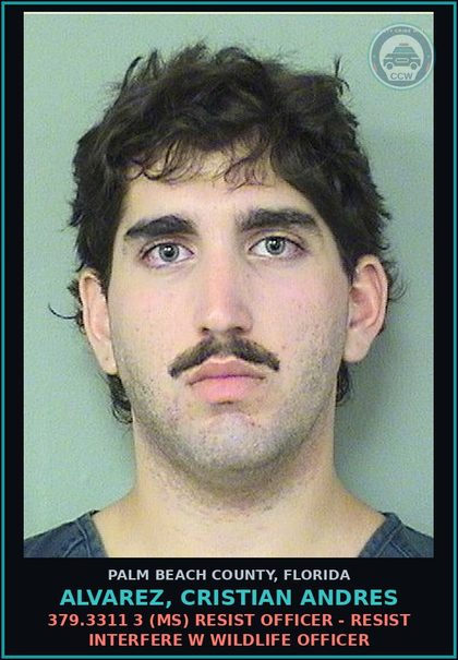 CCW arrest card for ALVAREZ, CRISTIAN ANDRES in Palm Beach County: 379.3311 3 (MS) RESIST OFFICER - RESIST INTERFERE W WILDLIFE OFFICER