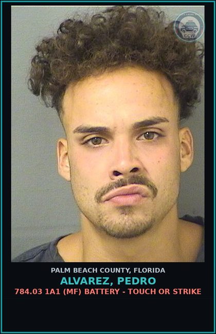 CCW arrest card for ALVAREZ, PEDRO in Palm Beach County: 784.03 1A1 (MF) BATTERY - TOUCH OR STRIKE