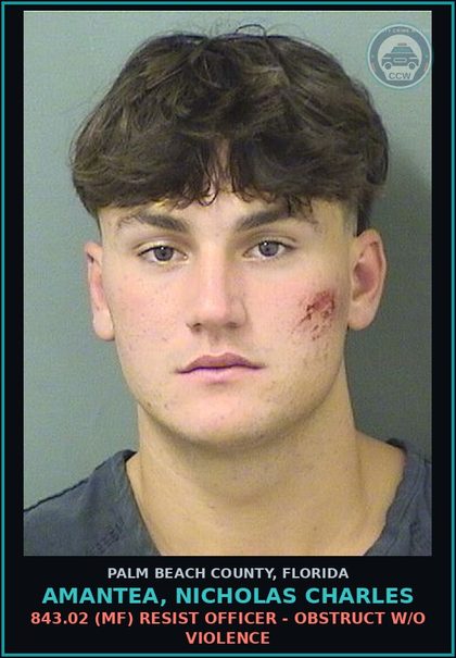 CCW arrest card for AMANTEA, NICHOLAS CHARLES in Palm Beach County: 843.02 (MF) RESIST OFFICER - OBSTRUCT W/O VIOLENCE
