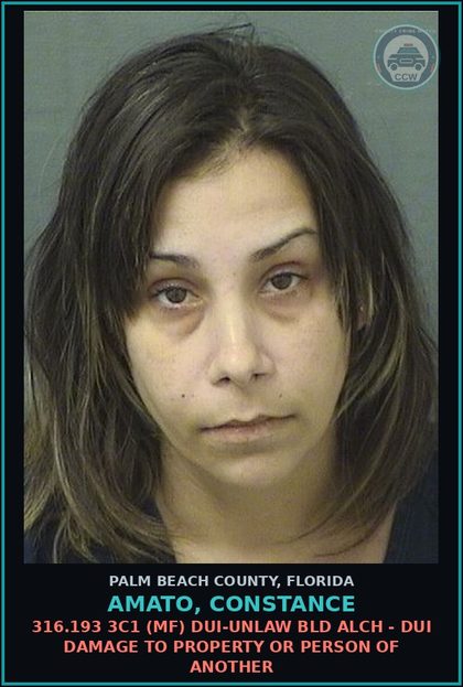 CCW arrest card for AMATO, CONSTANCE in Palm Beach County: 316.193 3C1 (MF) DUI-UNLAW BLD ALCH - DUI DAMAGE TO PROPERTY OR PERSON OF ANOTHER