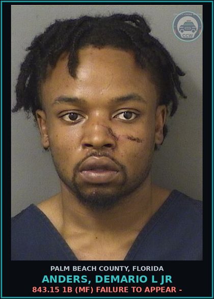 CCW arrest card for ANDERS, DEMARIO L Jr in Palm Beach County: 843.15 1B (MF) FAILURE TO APPEAR -