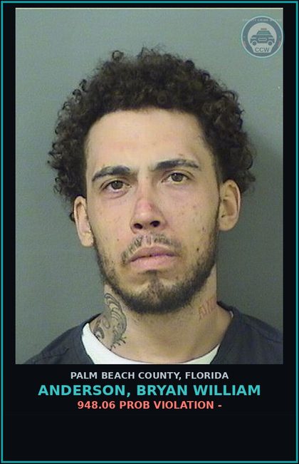 CCW arrest card for ANDERSON, BRYAN WILLIAM in Palm Beach County: 948.06 PROB VIOLATION -