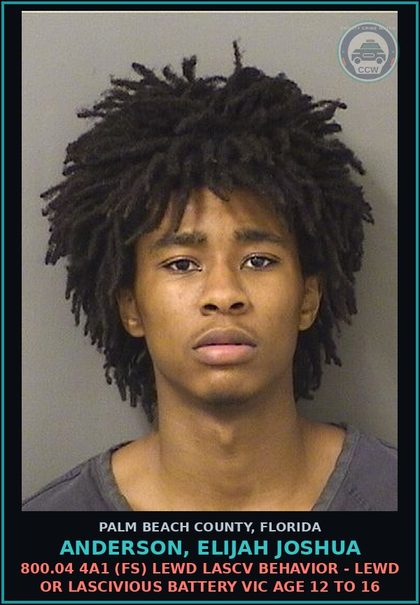 CCW arrest card for ANDERSON, ELIJAH JOSHUA in Palm Beach County: 800.04 4A1 (FS) LEWD LASCV BEHAVIOR - LEWD OR LASCIVIOUS BATTERY VICTIM AGE 12 TO 16