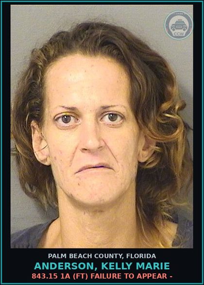 CCW arrest card for ANDERSON, KELLY MARIE in Palm Beach County: 843.15 1A (FT) FAILURE TO APPEAR -