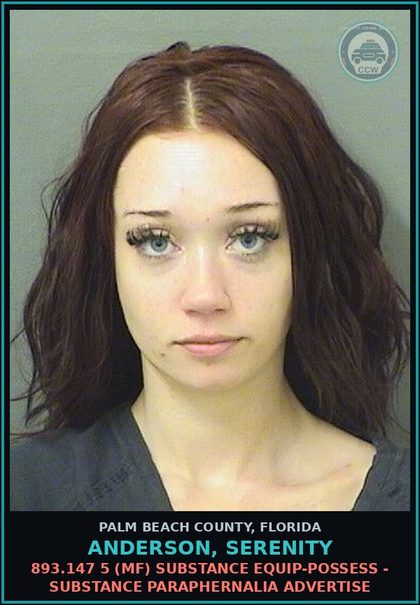 CCW arrest card for ANDERSON, SERENITY in Palm Beach County: 893.13 6A (FT) DRUGS-POSSESS - POSSESS contr substance W/O PRESCRIPTION