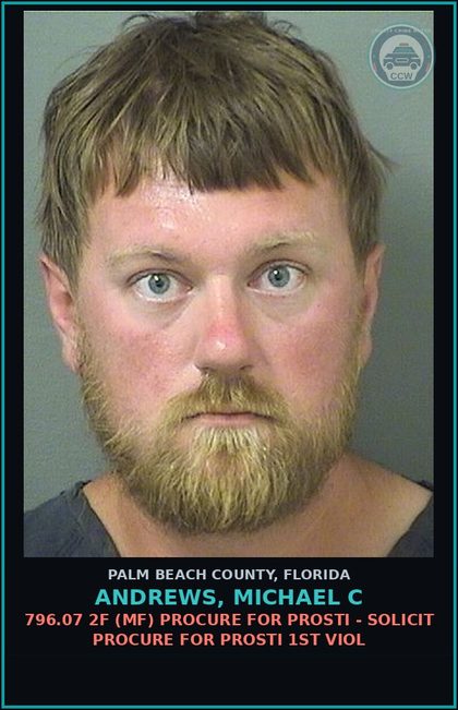 CCW arrest card for ANDREWS, MICHAEL C in Palm Beach County: 796.07 2F (MF) PROCURE FOR Prosti - SOLICIT PROCURE FOR Prosti 1ST VIOL