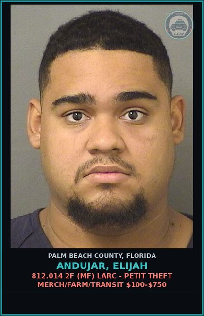 CCW arrest card for ANDUJAR, ELIJAH in Palm Beach County: 812.014 2F (MF) LARC - PETIT THEFT MERCH/FARM/TRANSIT $100-$750