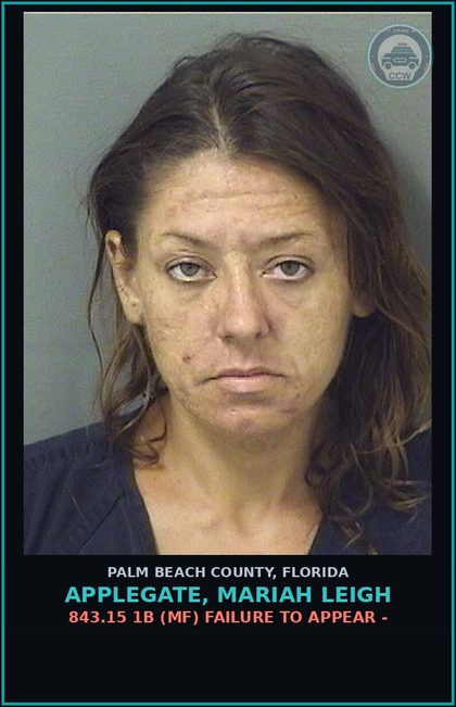 CCW arrest card for APPLEGATE, MARIAH LEIGH in Palm Beach County: 843.15 1B (MF) FAILURE TO APPEAR -