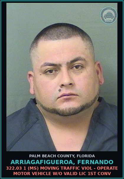 CCW arrest card for ARRIAGAFIGUEROA, FERNANDO in Palm Beach County: 322.03 1 (MS) MOVING TRAFFIC VIOL - OPERATE MOTOR VEHICLE W/O VALID LIC 1ST CONV