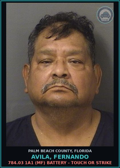 CCW arrest card for AVILA, FERNANDO in Palm Beach County: 784.03 1A1 (MF) BATTERY - TOUCH OR STRIKE