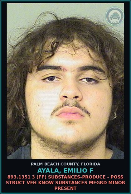 CCW arrest card for AYALA, EMILIO F in Palm Beach County: 893.13 1A1 (FS) DRUGS-DELIV/DISTR - DELIVER contr substance SCHEDULE I