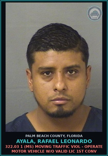 CCW arrest card for AYALA, RAFAEL LEONARDO in Palm Beach County: 322.03 1 (MS) MOVING TRAFFIC VIOL - OPERATE MOTOR VEHICLE W/O VALID LIC 1ST CONV