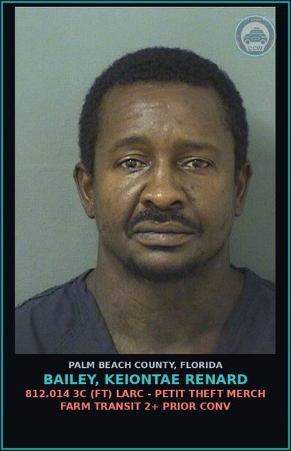 CCW arrest card for BAILEY, KEIONTAE RENARD in Palm Beach County: 812.014 3C (FT) LARC - PETIT THEFT MERCH FARM TRANSIT 2+ PRIOR CONV