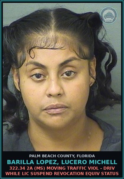 CCW arrest card for BARILLA LOPEZ, LUCERO MICHELL in Palm Beach County: 322.34 2A (MS) MOVING TRAFFIC VIOL - DRIV WHILE LIC SUSPEND REVOCATION EQUIV STATUS