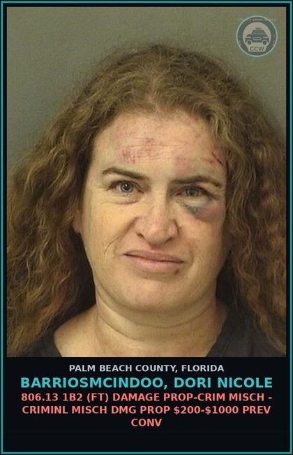 CCW arrest card for BARRIOSMCINDOO, DORI NICOLE in Palm Beach County: 806.13 1B2 (FT) DAMAGE PROP-CRIM MISCH - CRIMINL MISCH DMG PROP $200-$1000 PREV CONV
