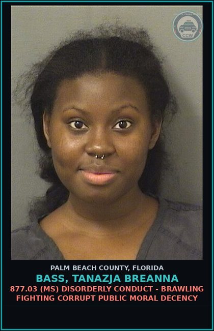 CCW arrest card for BASS, TANAZJA BREANNA in Palm Beach County: 877.03 (MS) DISORDERLY CONDUCT - BRAWLING FIGHTING CORRUPT PUBLIC MORAL DECENCY