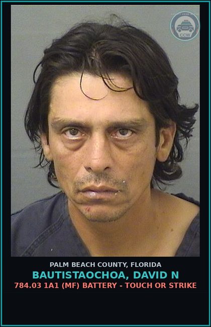 CCW arrest card for BAUTISTAOCHOA, DAVID N in Palm Beach County: 784.03 1A1 (MF) BATTERY - TOUCH OR STRIKE