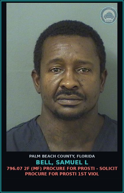 CCW arrest card for BELL, SAMUEL L in Palm Beach County: 796.07 2F (MF) PROCURE FOR Prosti - SOLICIT PROCURE FOR Prosti 1ST VIOL
