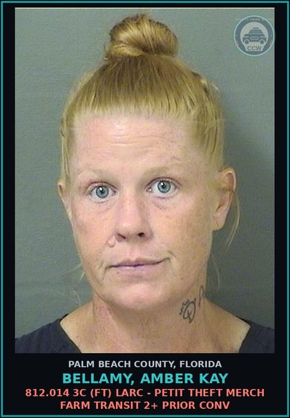 CCW arrest card for BELLAMY, AMBER KAY in Palm Beach County: 812.014 3C (FT) LARC - PETIT THEFT MERCH FARM TRANSIT 2+ PRIOR CONV