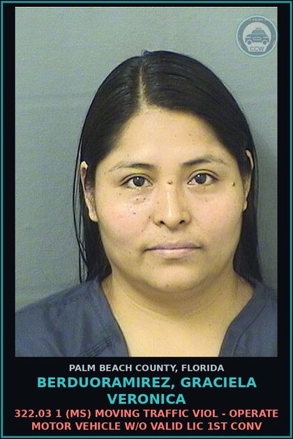 CCW arrest card for BERDUORAMIREZ, GRACIELA VERONICA in Palm Beach County: 322.03 1 (MS) MOVING TRAFFIC VIOL - OPERATE MOTOR VEHICLE W/O VALID LIC 1ST CONV