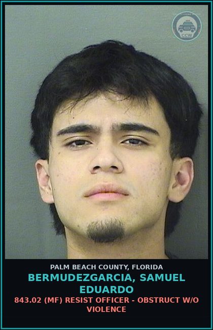 CCW arrest card for BERMUDEZGARCIA, SAMUEL EDUARDO in Palm Beach County: 893.13 6B (MF) Canna-POSSESS - POSSESS LESS THAN 20 GRAMS Canna
