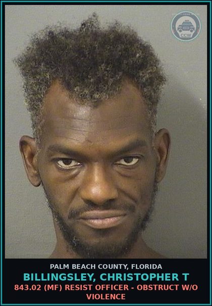 CCW arrest card for BILLINGSLEY, CHRISTOPHER T in Palm Beach County: 843.02 (MF) RESIST OFFICER - OBSTRUCT W/O VIOLENCE