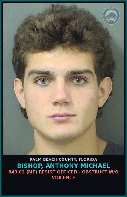 CCW arrest card for BISHOP, ANTHONY MICHAEL in Palm Beach County: 316.1935 2 (FT) FLEE/ELUDE POLICE - FLEE ELUDE LEO WITH LIGHTS SIREN ACTIVE