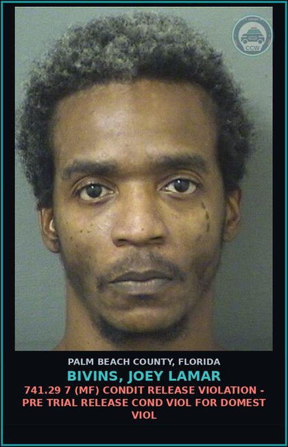 CCW arrest card for BIVINS, JOEY LAMAR in Palm Beach County: 784.011 1 (MS) SIMPLE ASSLT - INTENT THREAT TO DO VIOLENCE
