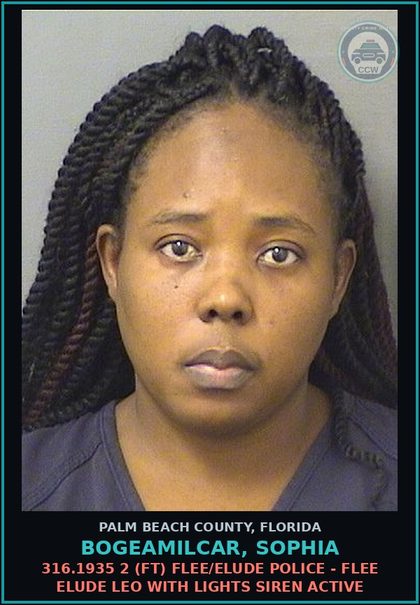 CCW arrest card for BOGEAMILCAR, SOPHIA in Palm Beach County: 316.1935 2 (FT) FLEE/ELUDE POLICE - FLEE ELUDE LEO WITH LIGHTS SIREN ACTIVE