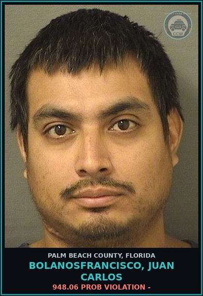 CCW arrest card for BOLANOSFRANCISCO, JUAN CARLOS in Palm Beach County: 948.06 PROB VIOLATION -